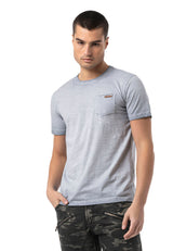 Erkek Regular Fit Bisiklet Yaka Kısa Kollu Tişört CT810