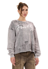 Kadın Modern Tasarımlı Günlük Uzun Kollu Sweatshirt WL375